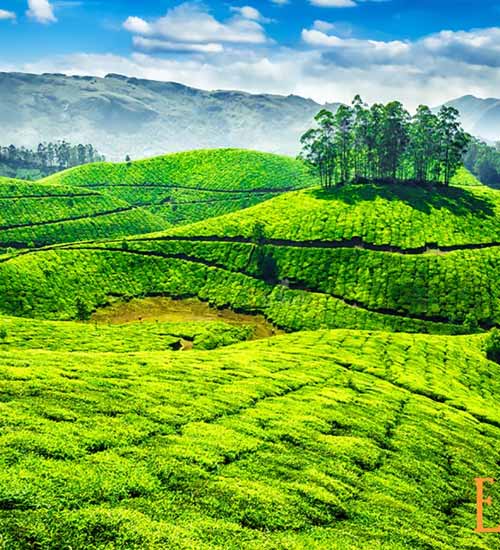 Munnar