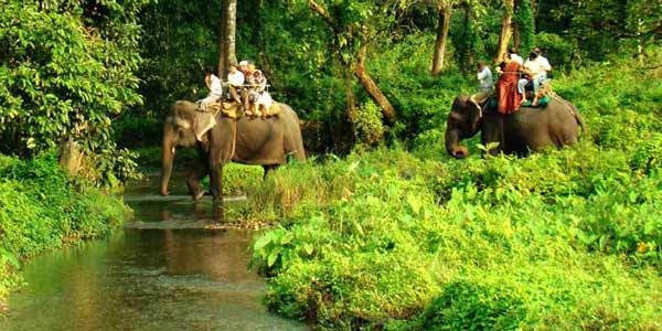 South India Wildlife Tour